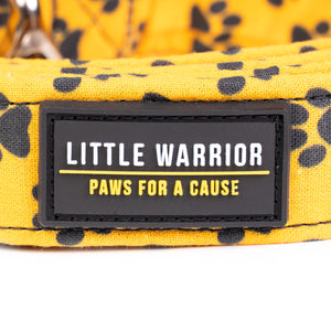 Little Warrior Pet Collars