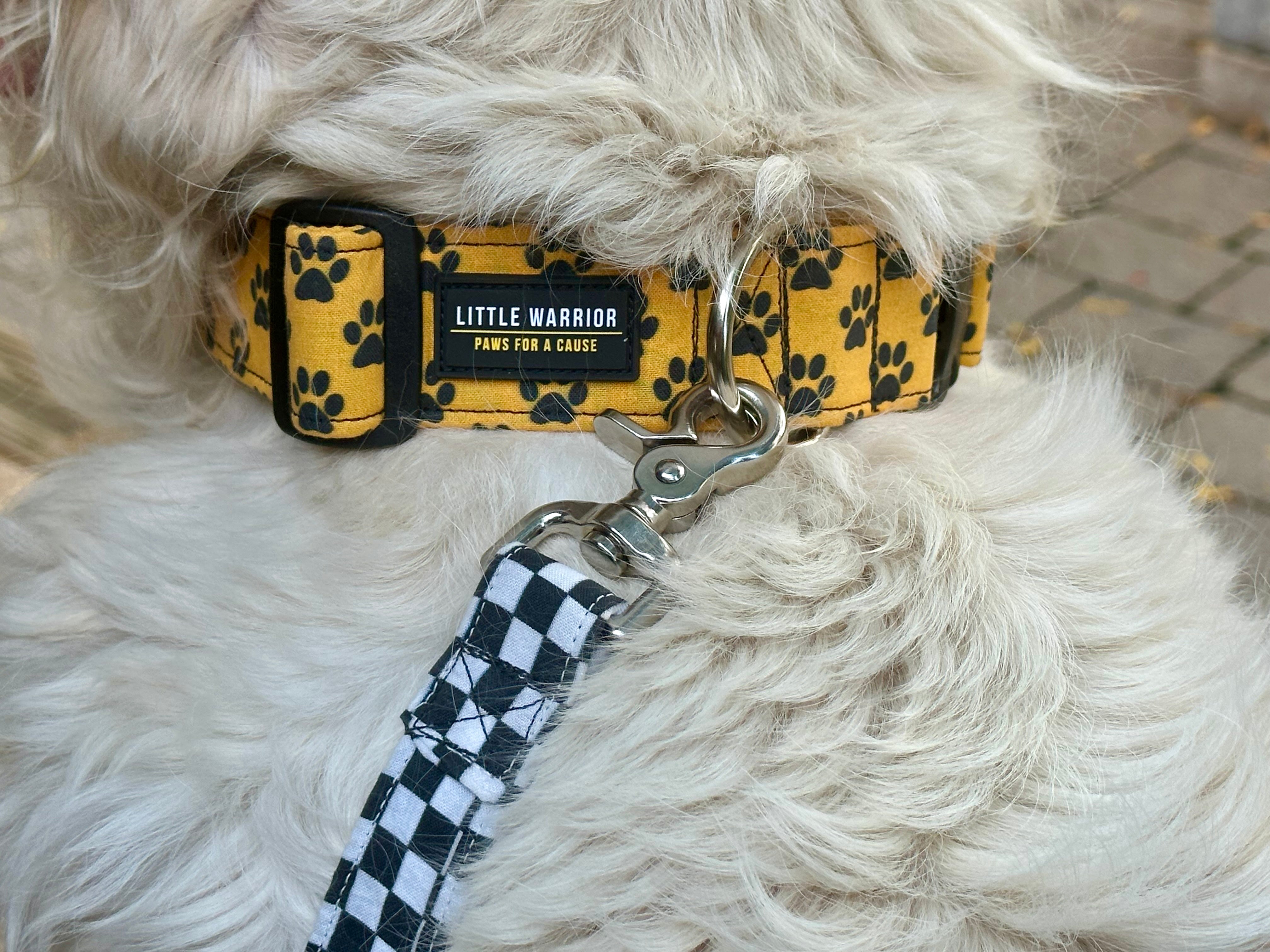 Little Warrior Pet Collars